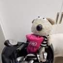 S골프존(에스골프존) 이미지