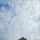 럭키유치원 이미지