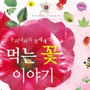 꽃이야기 네이버블로그