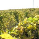 은애농장 이미지