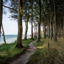 부곡공원길 이미지