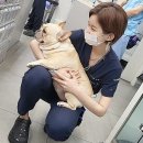 마레동물병원 이미지