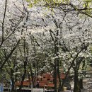 선포약수터 이미지