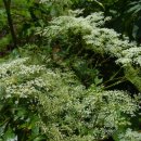 노바골프 이미지