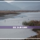 진도 고니류 도래지 이미지