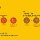 사랑 이미지