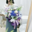 푸른나라꽃나라