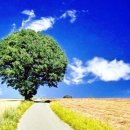 하늘과땅 이미지