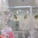 강아지미용실 정독 이미지