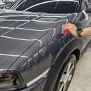 제비표페인트미래상사 | 🚗 2025 현대 넥쏘 신차패키지 완벽 가이드 | 초량현대 작업 후기