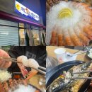 제주에 오길 잘했다 | 제주공항 근처 딱새우회 고등어회 맛집 오늘회가서쪽에서뜨겠네 솔직 후기