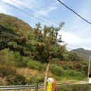 송가농장 이미지