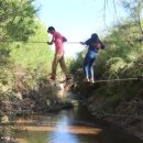 ANOTHER DOG 이미지