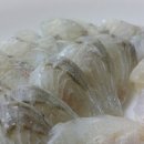 대창횟집
