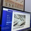 송도바이오대로 | 연수구 두피케어 추천, 닥터모락 송도점에서 받은 두피관리 후기🍀