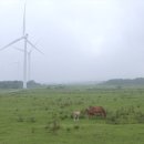 유산목장 이미지