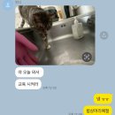 예쓰맨 이미지