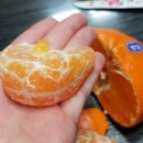 대왕청과 이미지