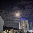 꾸버찌문성점