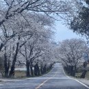 왕인박사유적지 주차장 이미지