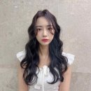샵오오티디 이미지