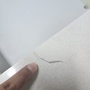 판크 이미지