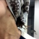 고윤희산부인과외과의원 이미지