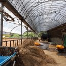 종합축사 이미지