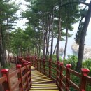 삼척해상케이블카 장호역 이미지