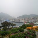 추자도젓갈