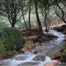 조경연 생가 이미지