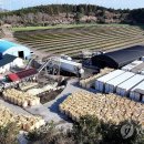 박지호농장 이미지