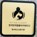 고양이잡화상점