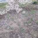 지하철체육공원역 이미지