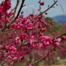 부계면주민센터 화장실 이미지