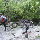 ▣【2013.07.21】25차(2-1) 시원한 계곡과 야생화 군락을 이루고 있는 석룡산 자루목이골 에서... 이미지