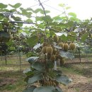 우시장가게 이미지