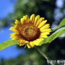 방배결혼정보 이미지