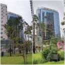 연세대학교 세브란스헬스체크업치과의원 | 세브란스헬스체크업 내돈내산 프리미엄건강검진 리얼후기