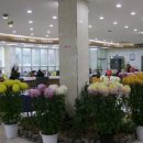 거창읍-30 이미지