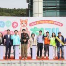용인시기흥노인복지관 장수하개 | 용인특례시, 반려동물 문화축제 성황리 마무리