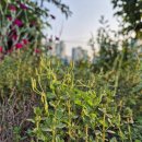 유연농장 이미지