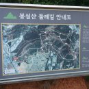 봉실주유소 Daum카페