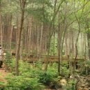 산음자연휴양림 이미지