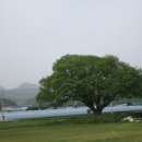 함안박물관 이미지