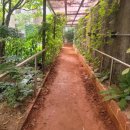 무이재한방병원 이미지