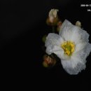 파주대원초등학교 이미지