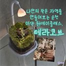세광테라LED조명 - 중랑구 봉우재로14길 29 | 순천원데이클래스 추천, 테라코브에서 테라리움 체험 후기