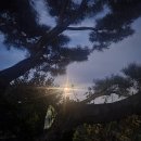 달냥이하우스 이미지