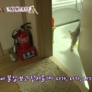 또또농장 이미지